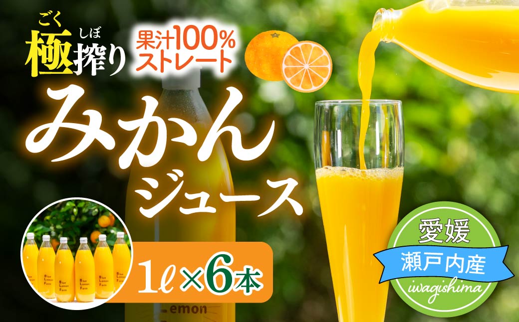 愛媛　ブルーレモンファームのごくしぼりみかんジュース　1L　6本