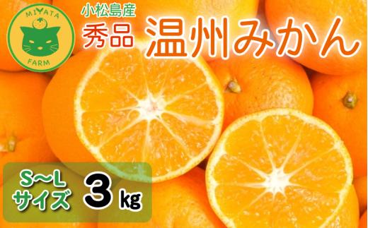【2026年12月発送】 みかん 秀品 温州みかん3kg  ミカン 蜜柑 甘い フルーツ 柑橘 ジュース 小松島市 3kg オススメ 人気 ふるさと納税