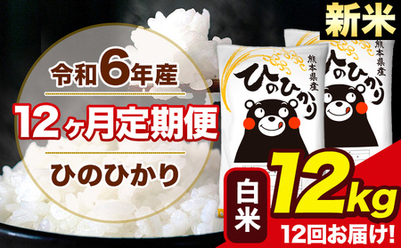 令和6年産 新米 【12ヶ月定期便】 ひのひかり 白米 12kg 6kg×2袋 計12回お届け 熊本県産 こめ コメ 白米 精米 荒尾市 ひの 米 定期 《お申込み月の翌月から出荷開始》