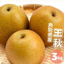 【ふるさと納税】王秋 梨 3kg 3~8玉前後 鳥取県産 先行予約受付 2024年秋冬収穫分 なし 3キロ TM46 0697