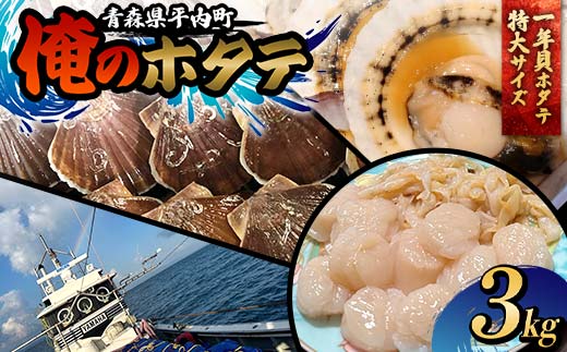 「俺のホタテ」 1年貝ホタテ特大サイズ 3kg ホタテ ほたて 帆立 活ホタテ 貝柱 殻付き 魚介 魚貝 魚貝類 青森 青森県 東北 平内 むつ湾 F21J-244