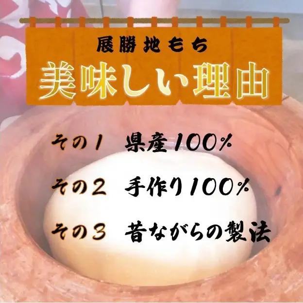  展勝地もち 冷凍たれ餅 アソートセット3 (6種、合計18パック) 【杵つき】タレ餅 詰め合わせ  餅 セット 岩手県 北上市 F0135R0806 