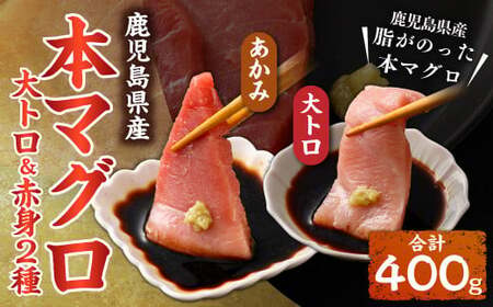 鹿児島県産本マグロ 大トロ＆赤身セット 合計400g 本マグロ 大トロ 赤身 刺し身 セット 魚 【2026年1月下旬より順次出荷】_ss1114_CR