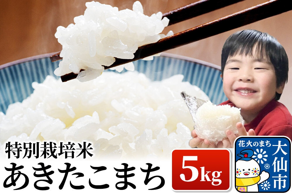 
                  米 令和7年産【特別栽培米】あきたこまち【精米】5kg [米 お米 こめ 白米 精米 特別栽培米 あきたこまち ブランド米 秋田県産]
                