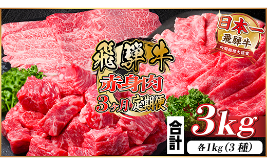 レビューキャンペーン実施中!【毎月定期便】飛騨牛 赤身肉定期便 計3kg全3回【配送不可地域：離島】
