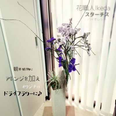 ふるさと納税 印南町 生花【スターチス】花職人Ikeda 　　　　バイオレット |  | 02