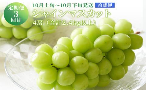 フルーツ 定期便 2024年 先行予約 晴れの国 おかやま の ニュー ピオーネ 4房（2kg以上） シャイン マスカット 4房（2kg以上） シャイン マスカット 4房（2.4kg以上） 岡山県産