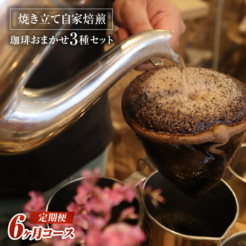 【ふるさと納税】定期便 焼き立て 自家焙煎 珈琲豆 おまかせ 3種類セット 6ヶ月コース 3種 毎月1回 合計6回 自家焙煎珈琲豆 鮮度 焼き立て発送 宮崎県 宮崎市 送料無料