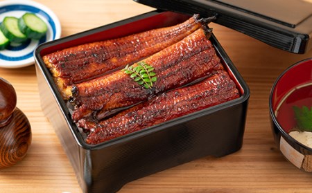 温泉うなぎ蒲焼 3尾（180gサイズ） 国産うなぎ＜104-016_5＞