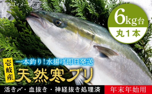 【6キロ台】 【11/1〜1/15お届け 年末年始用】天然 寒ブリ（丸もの ） 《壱岐市》【壱岐島　玄海屋】[JBS126]  ぶり 寒ぶり ブリ 魚 刺身 しゃぶしゃぶ