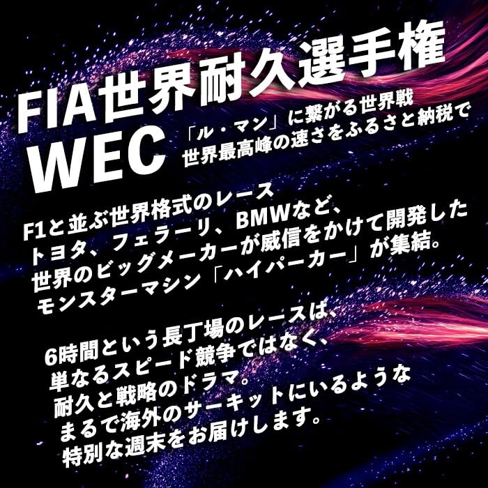富士スピードウェイ 自由観戦エリア券 WEC（FIA世界耐久選手権）｜ 富士スピードウェイ スピードウェイ 観戦 観戦券 チケット 利用券 体験 レース