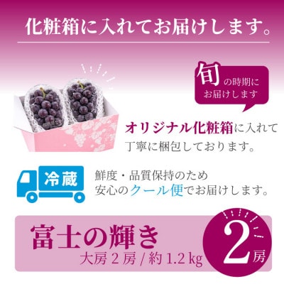 山梨市産 富士の輝  富士の輝き 大粒で高糖度の黒ぶどう 贈答用2房 化粧箱入り【配送不可地域：離島】