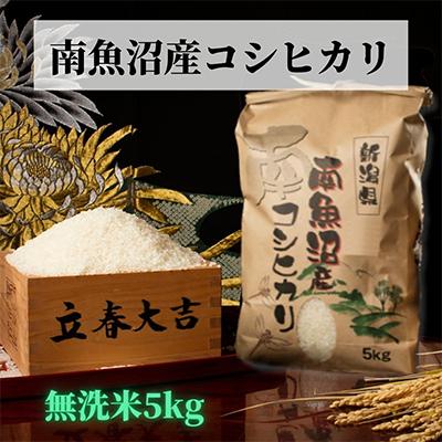 ふるさと納税 南魚沼市 【毎月定期便】【高級】南魚沼産こしひかり精米5kg(無洗米)全9回 | 