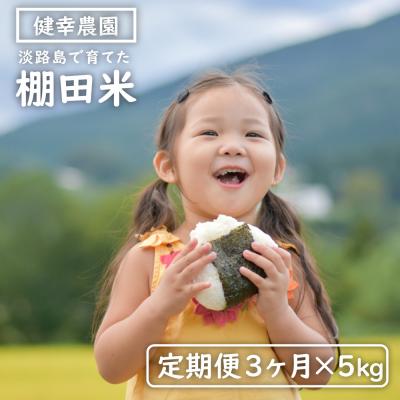 ふるさと納税 淡路市 【定期便】健幸農園の棚田米 5kg×3ヵ月セット　ak29014
