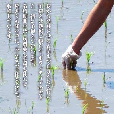 ふるさと納税 淡路市 來子道米 〜きしどうまい〜 450g×3個 【栽培期間中、無農薬無肥料】　ar08004 |  | 02