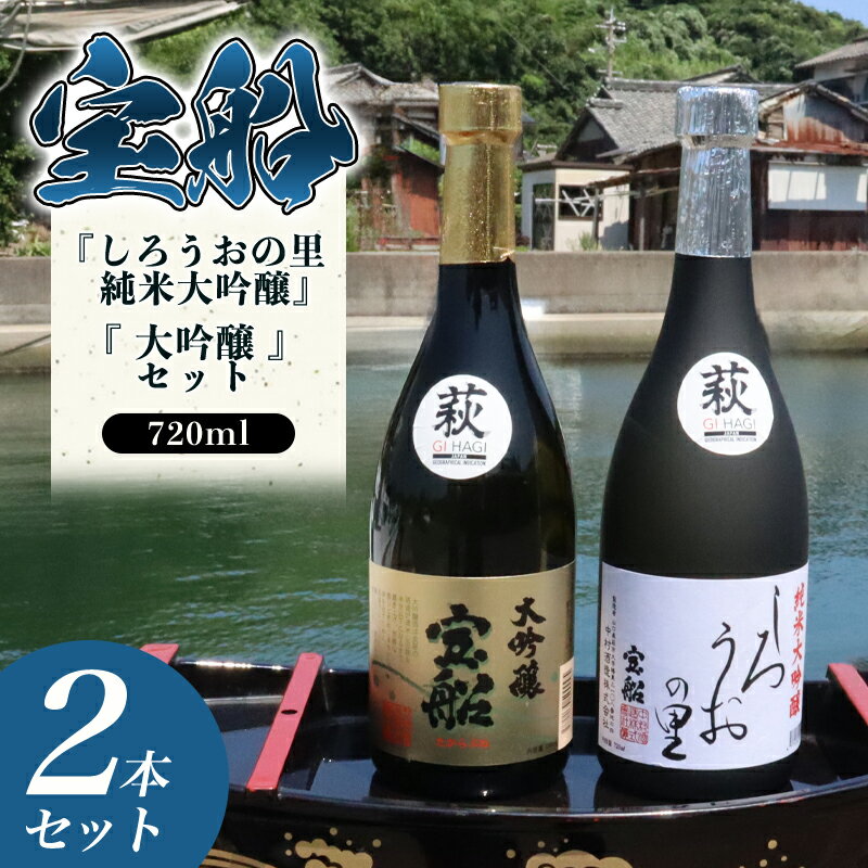 【ふるさと納税】【352047000122】☆GI萩取得☆ 宝船 『しろうおの里 純米大吟醸』『 大吟醸 』セット