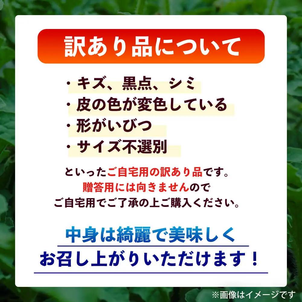 令和8年熊本地震復興支援 先行予約2027年5月下旬より発送 訳あり大玉スイカ1玉約6~9kg数量限定スイカすいか家庭用AYAT007