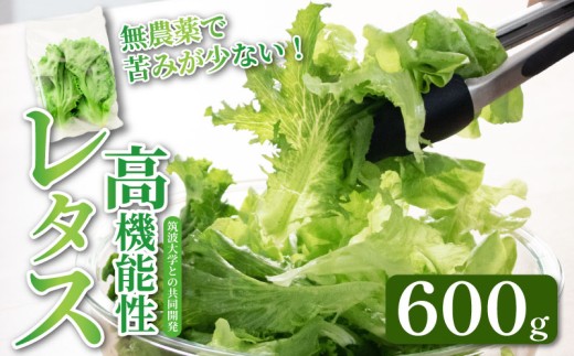 高機能性 レタス 無農薬 600g グリーンリーフ 産地直送 高機能性野菜 水耕栽培 新鮮 健康 弁当 フードロス ダイエット ベジタブル ヴィーガン ベジタリアン アイクス 埼玉県 羽生市