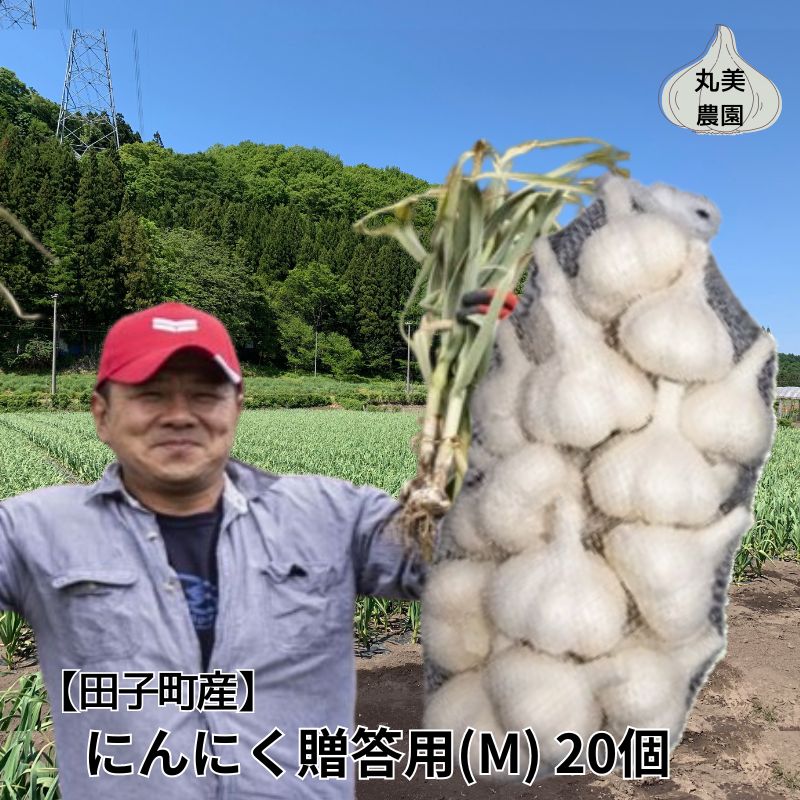 【ふるさと納税】丸美農園 田子産贈答用にんにく（M）20個　 薬味 にんにく 田子町産 贈答用 野菜 たっこにんにく 　お届け：10月1日〜3月31日まで