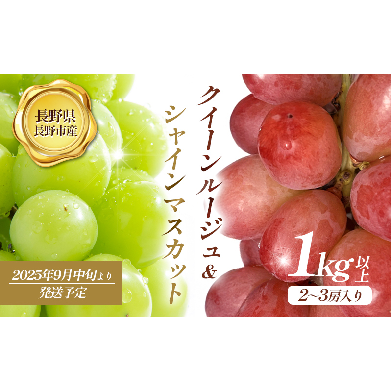 2026年産先行予約 クイーンルージュ? ＆シャインマスカット1kg以上2～3房入り