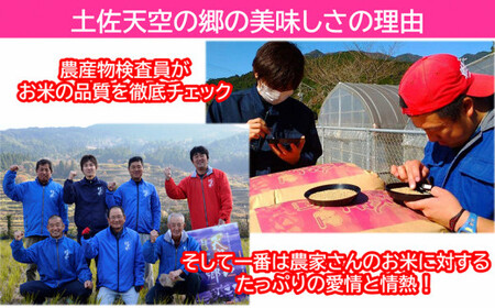 【新米予約】令和7年産土佐天空の郷 にこまる 5kg　2010年・2016年 お米日本一コンテスト inしずおか 特別最高金賞受賞の棚田米