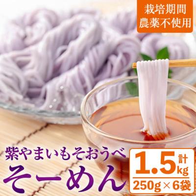 ふるさと納税 曽於市 紫やまいも【そおうべ】そーめん 6個入り