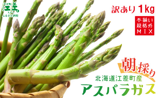 【夏芽順次収穫中】《訳あり》2025年 北海道江差町産 アスパラガス 1kg【サイズ不揃い・規格外MIX】　見た目は良くなくても鮮度や味は正規品と変わりません！　朝採り　農家直送　新鮮　鮮度保持　北海道　旬野菜　グリーンアスパラ　アスパラ　ご自宅用　無選別・規格外・ハネ物・B品