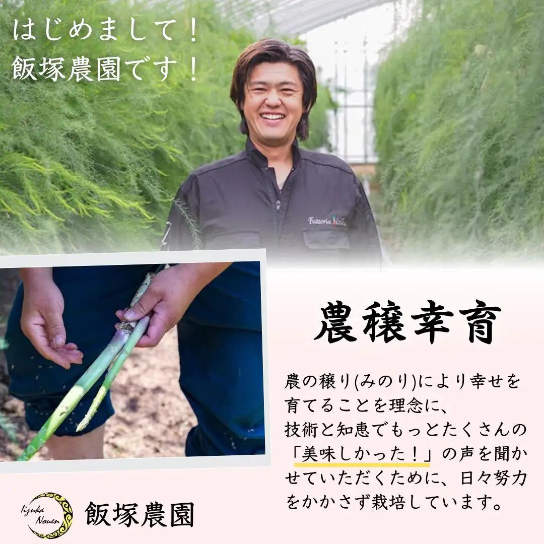 アスパラガス レギュラー 約1kg 令和8年産 アスパラガス 飯塚農園 