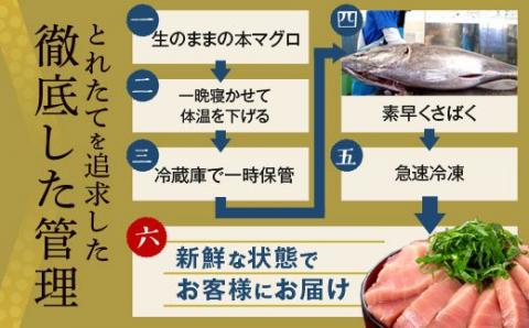 A-910 こしき本マグロ（中トロ三昧）400g 約3～5人前