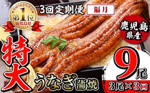 i1174-B ＜定期便・計3回(隔月)＞＼特大サイズ／鹿児島県産 うなぎ蒲焼 3尾セット＜（約220g×3・計約660g）×全3回＞ 定期便 たれ 山椒付きうなぎ 鰻 ウナギ 特大 特大サイズ 約2