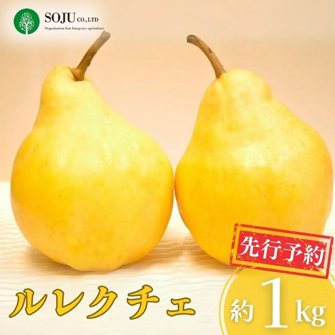 先行予約 ル レクチェ 約1kg 洋梨 JGAP認証農場 新潟県 三条市産 冬限定 三条果樹専門家集団