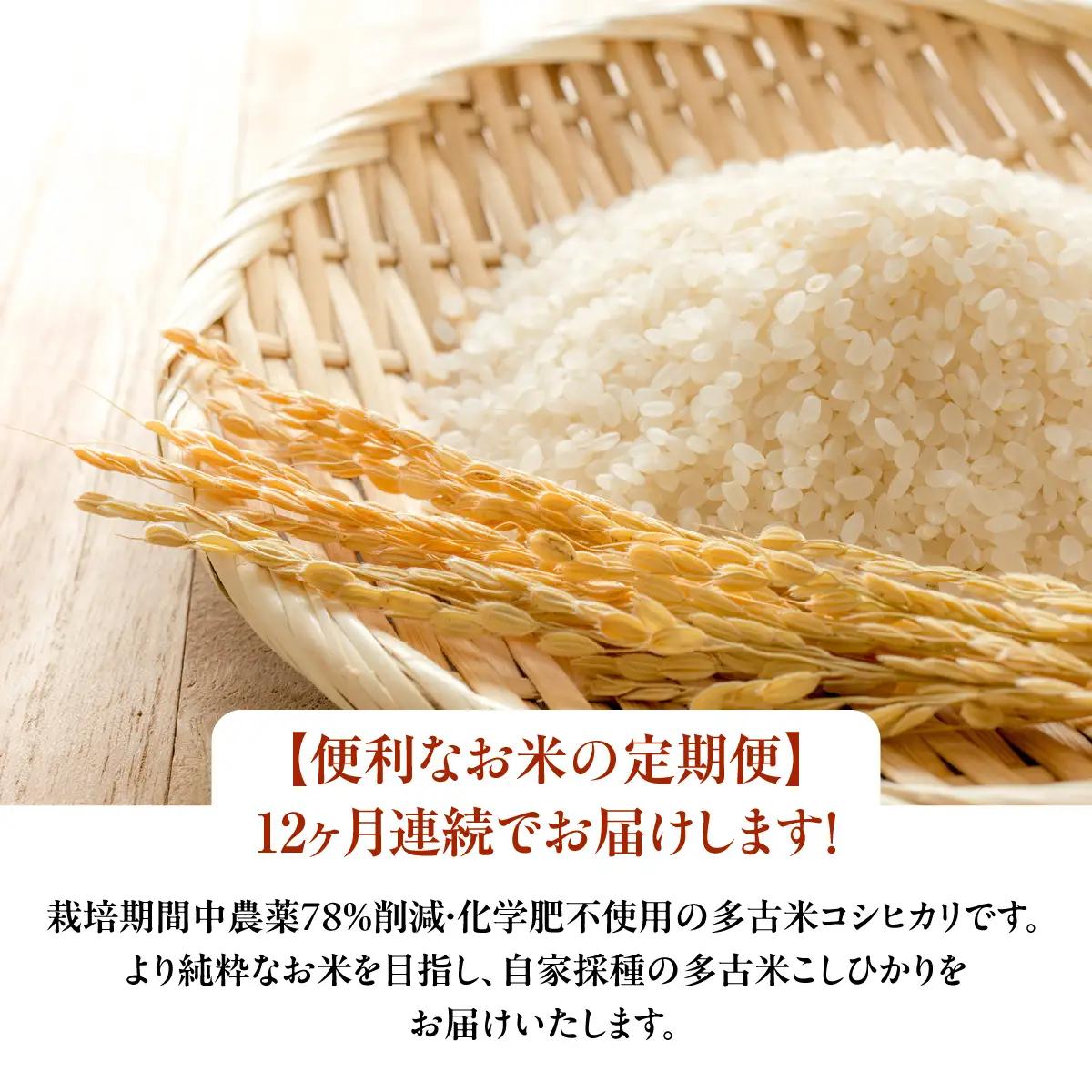 【定期便】化学肥料一切不使用！特別栽培米多古米「コシヒカリ」白米10kgx12回　TAKJ007／ふるさと納税 多古米 コシヒカリ 白米 玄米 10㎏ 化学肥料不使用 定期便  千葉県産 多古町 送料
