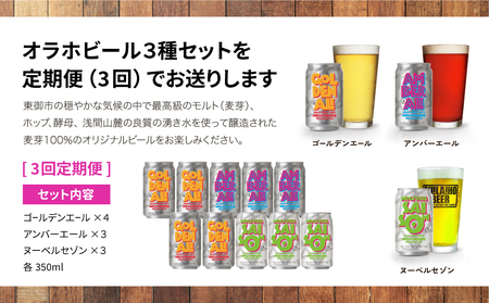 【3回定期便】オラホビール10本（3種合計10本）飲み比べクラフトビール