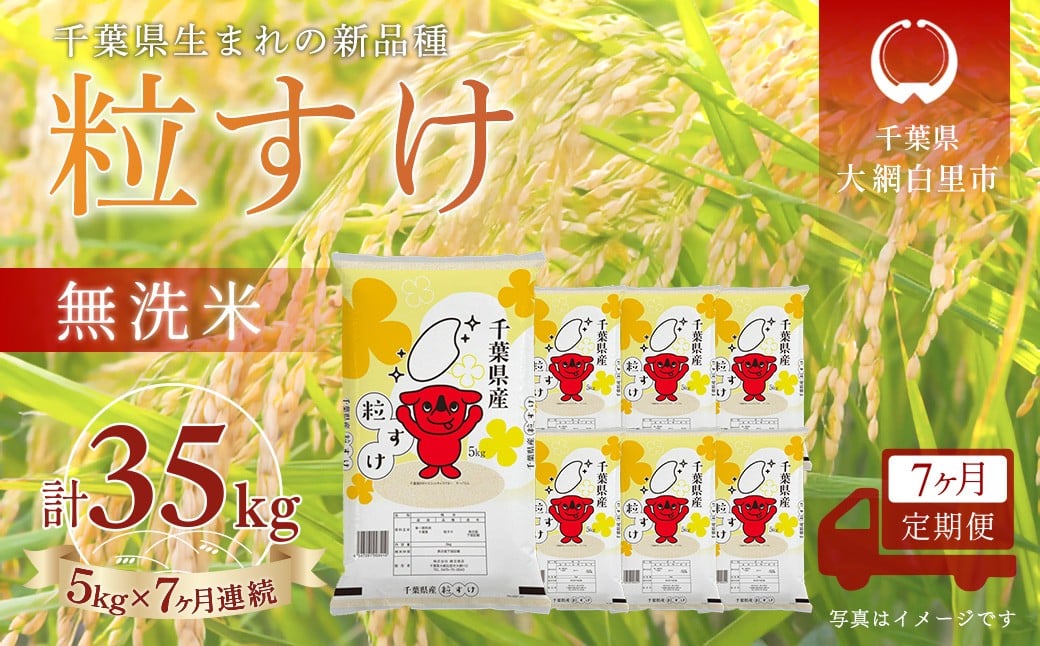 
                  ＜7か月定期便＞ 千葉県産「粒すけ」無洗米 5kg×7か月連続 計35kg
                