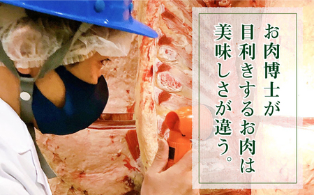 長崎和牛出島ばらいろ ヒレ まるごと1本 3kg前後[RCI007] 長崎和牛 ヒレ 長崎和牛 ヒレ 長崎和牛 ヒレ 長崎和牛 ヒレ 長崎和牛 ヒレ九州 長崎