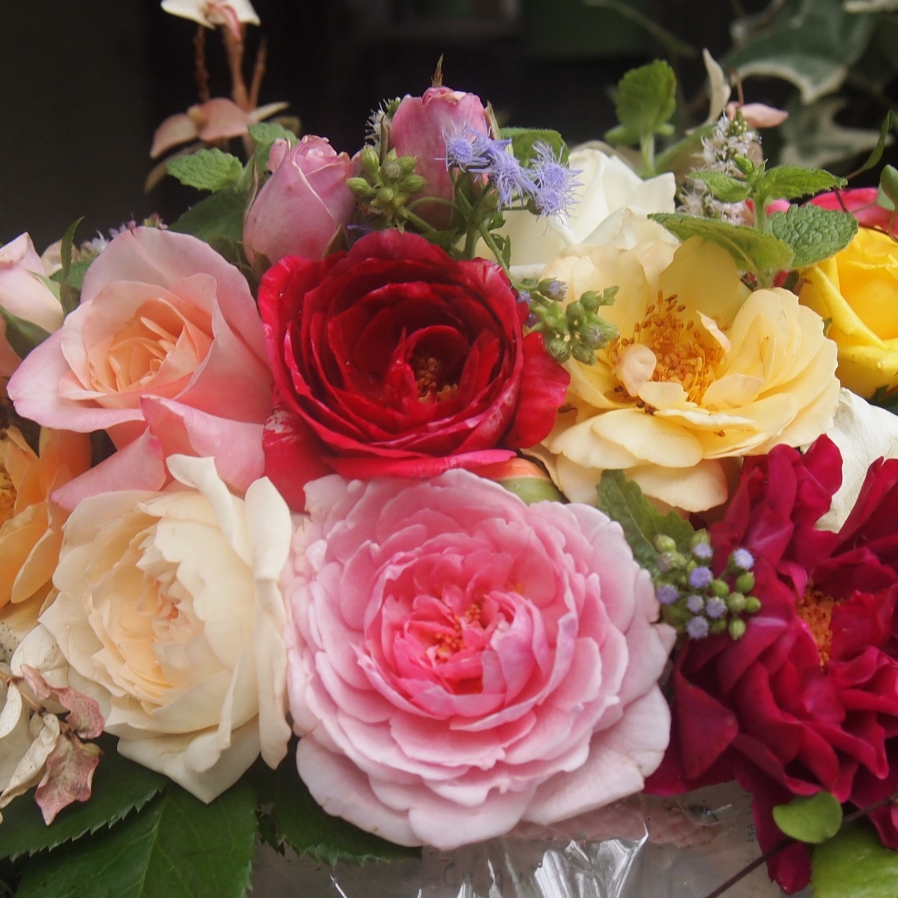 ※画像はイメージです。