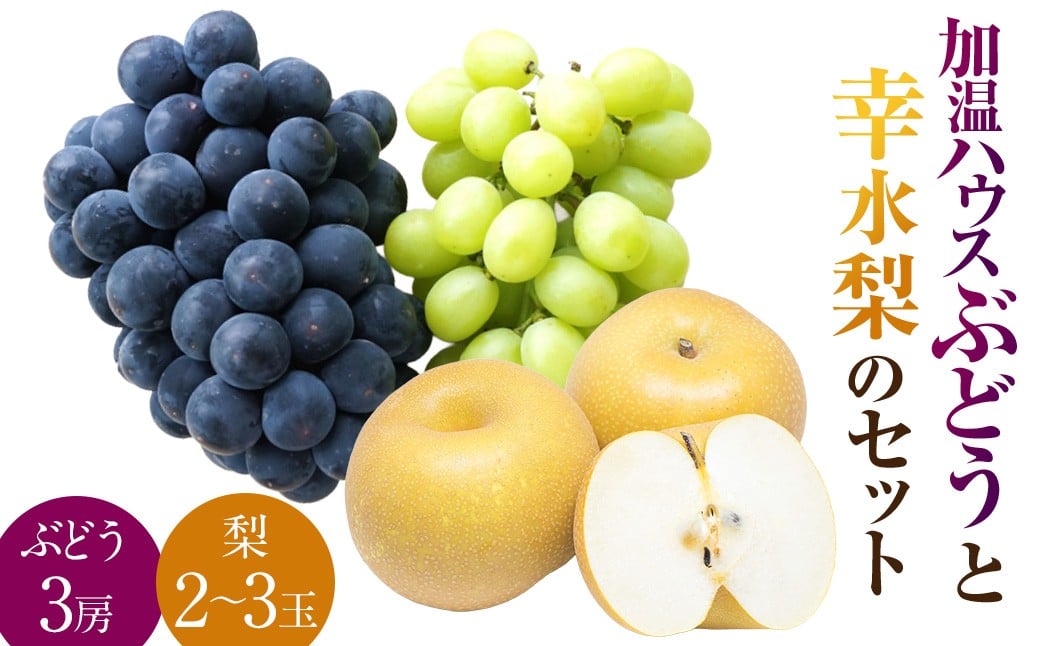 加温ハウスぶどうと幸水梨のセット