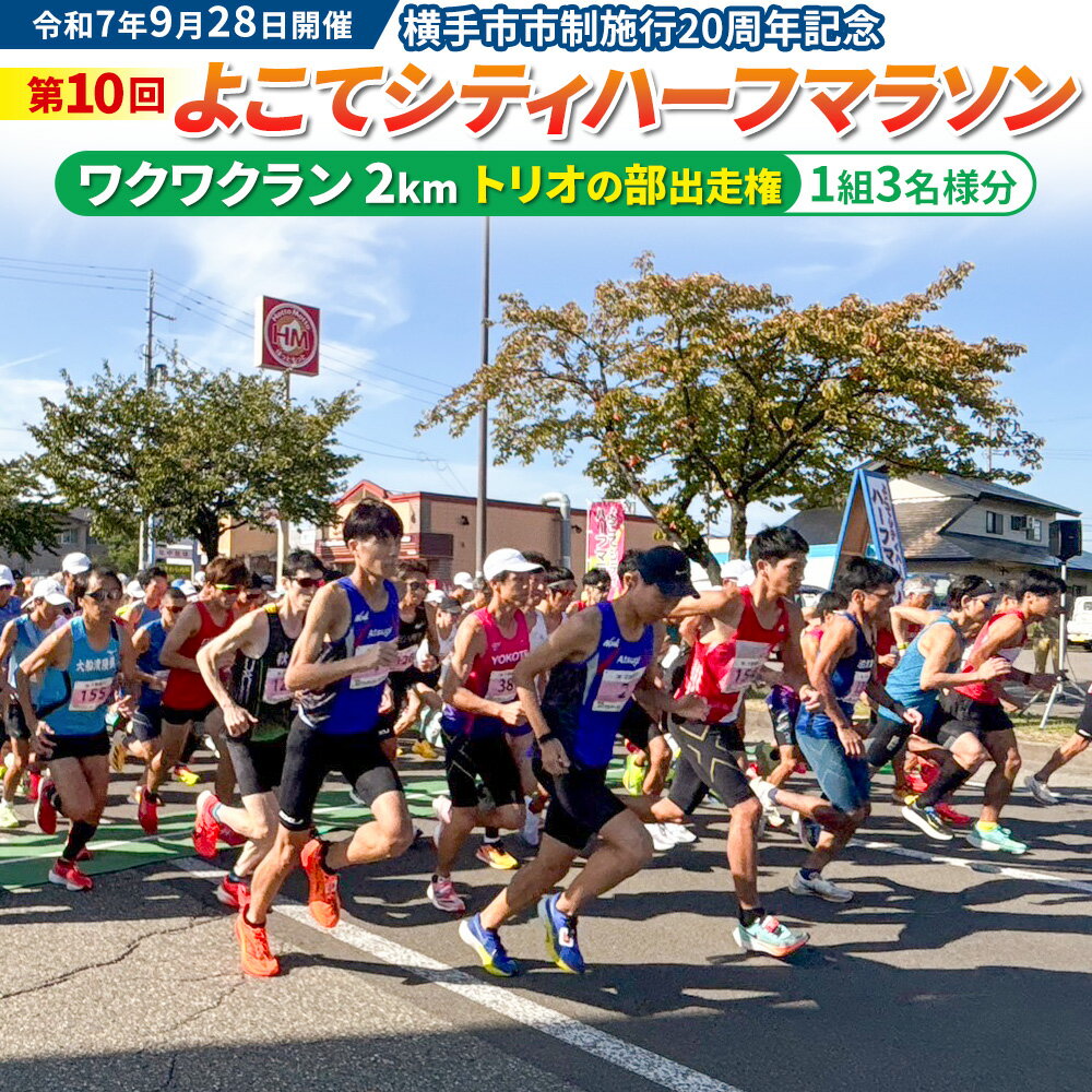 【ふるさと納税】よこてシティハーフマラソン ワクワクラン（2km）トリオの部出走権 1組3名様分 令和7年9月28日開催 横手市市制施行20周年記念 第10回 レターパックライト