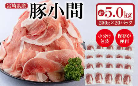 宮崎県産豚肉 小間切れ 5kg(250g×20)<2-21>