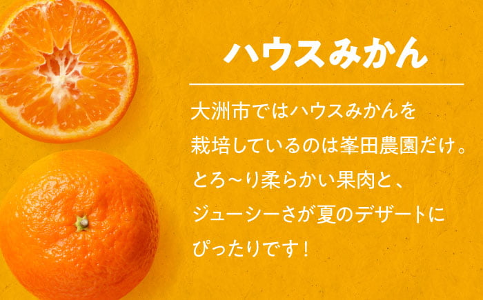 【みかん 5kg】みねちゃんちのハウスみかん