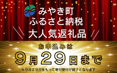FM031_【最長半年待ちの大人気】佐賀牛入り熟成ハンバーグ18個＋2個【期間限定】