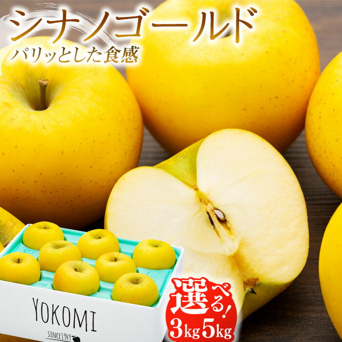 【ふるさと納税】【2025年/令和7年度発送分！】パリッとした食感の シナノゴールド 3kg 5kg りんご リンゴ 林檎 長野 フルーツ 果物 信州産 長野県産 特産 産地直送 おすすめ　 長野県 箕輪町 　お届け：2025年11月～12月中旬ごろ