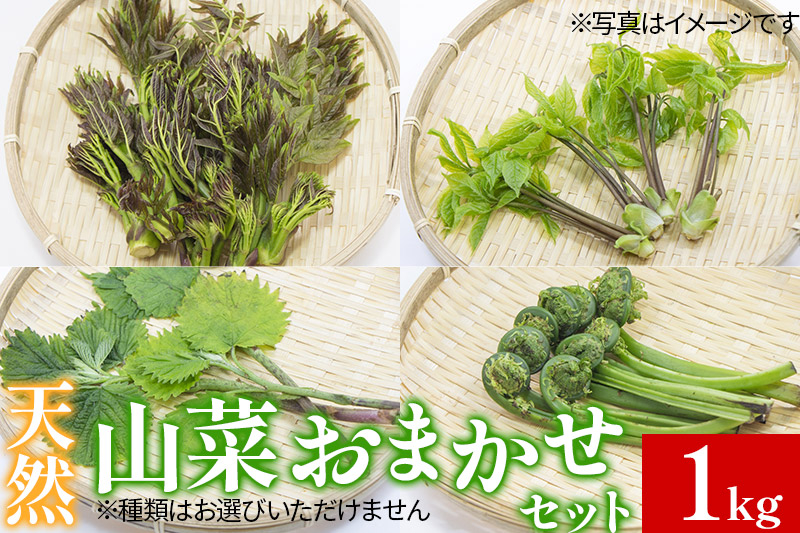 
天然山菜おまかせセット1kg
