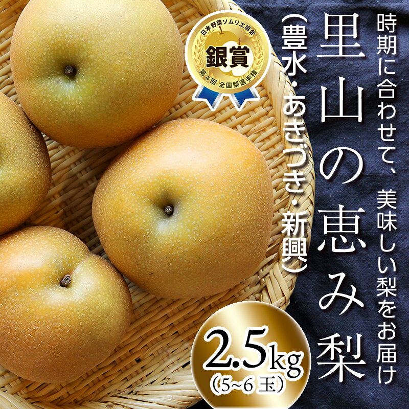 【ふるさと納税】【先行予約】里山の恵み梨（約2.5kg）5～6玉 《8月中旬頃～10月上旬頃お届け》 熊本県 球磨村 なし フルーツ 期間限定 果物 くだもの 旬の果物 デザート 数量限定 豊水 秋月 新興 ブランド梨 FKP9-717