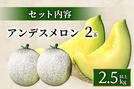 【2025年4月中旬発送開始】【先行予約】熊本県産 アンデスメロン 2玉 約2.5kg以上 ご予約 令和7年 先行 メロン めろん フルーツ 果物 くだもの アンデス 甘い ジューシー 果実 糖度14