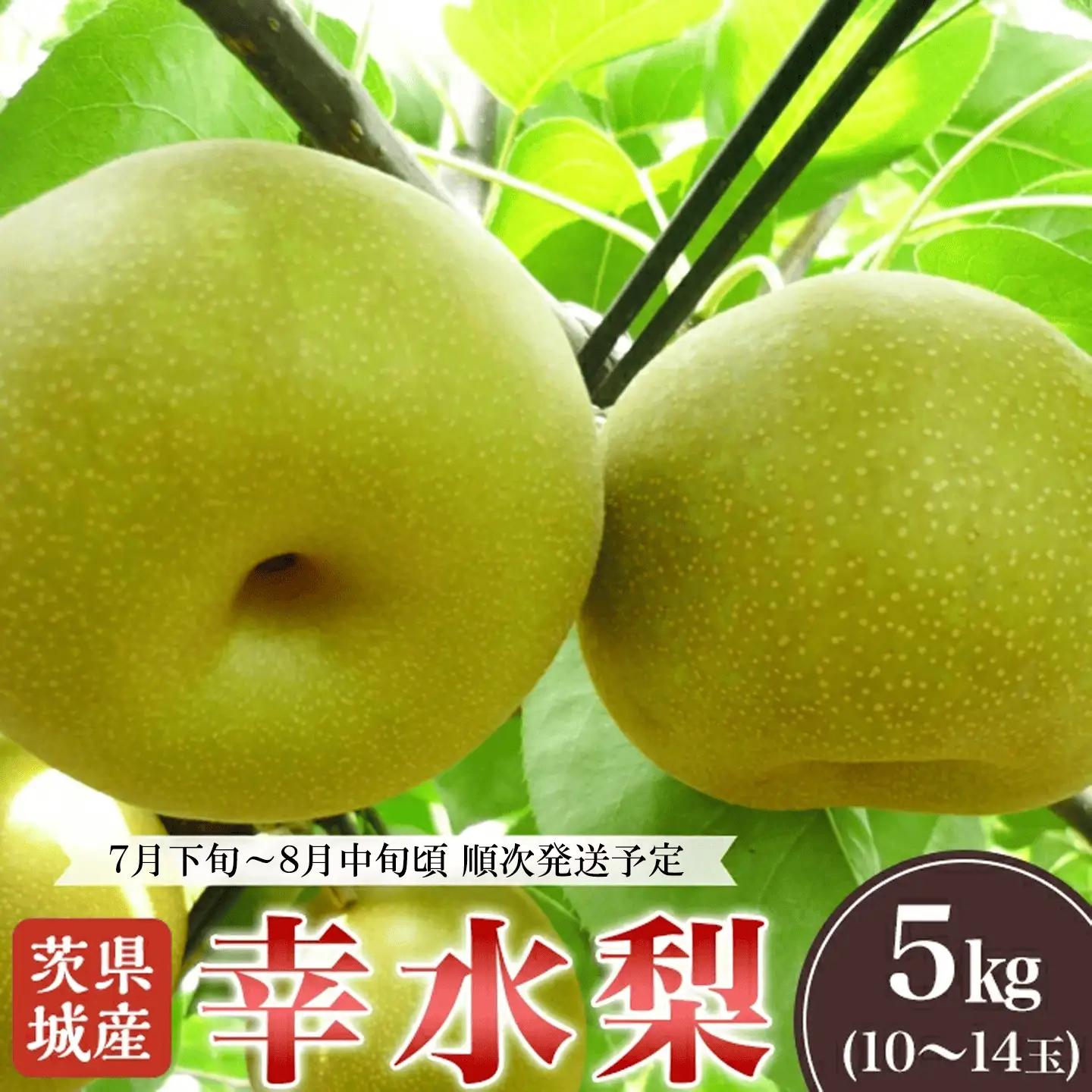 梨 先行予約 幸水 5kg（10〜14玉）　 梨