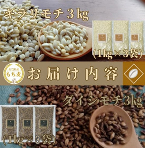 CI819_佐賀県産『もち麦』食べ比べ！キラリモチ３kg、ダイシモチ３kg（計６㎏）