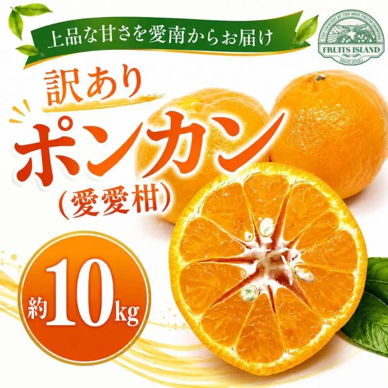 先行予約 訳あり ポンカン 約10kg 愛愛柑 柑橘 ぽんかん 愛媛 愛南 マルエム直販