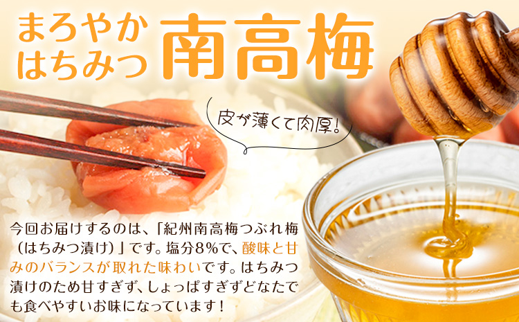 紀州南高梅 つぶれ梅 はちみつ漬 塩分8％ 1パック400g×3パック 株式会社味季屋《30日以内に出荷予定(土日祝除く)》和歌山県 日高町 梅 梅干し 南高梅 はちみつ梅---wsh_ajk6_30