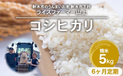 【6ヶ月定期便】【射水市】【ライスファーマー山上】【農家直送】【射水の美味しいお米】R8年産コシヒカリ5kg【精米】